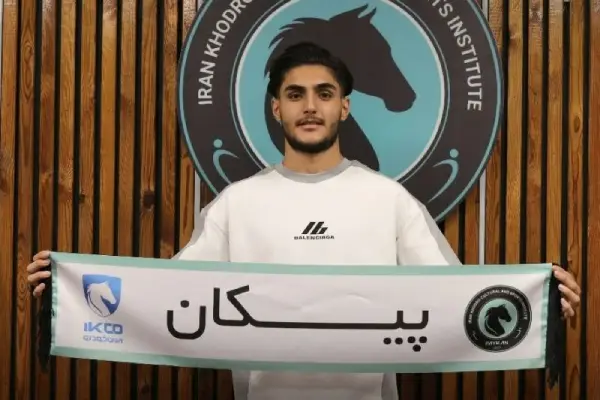 سلیمی